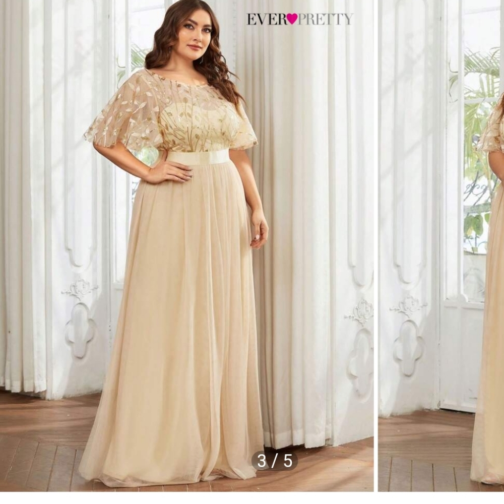 Ever pretty beige color sequin dress